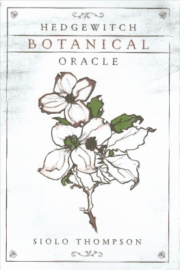 Box art of the Hedgewitch Botanical Oracle