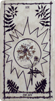 The Sun card from the Ophidia Rosa Tarot